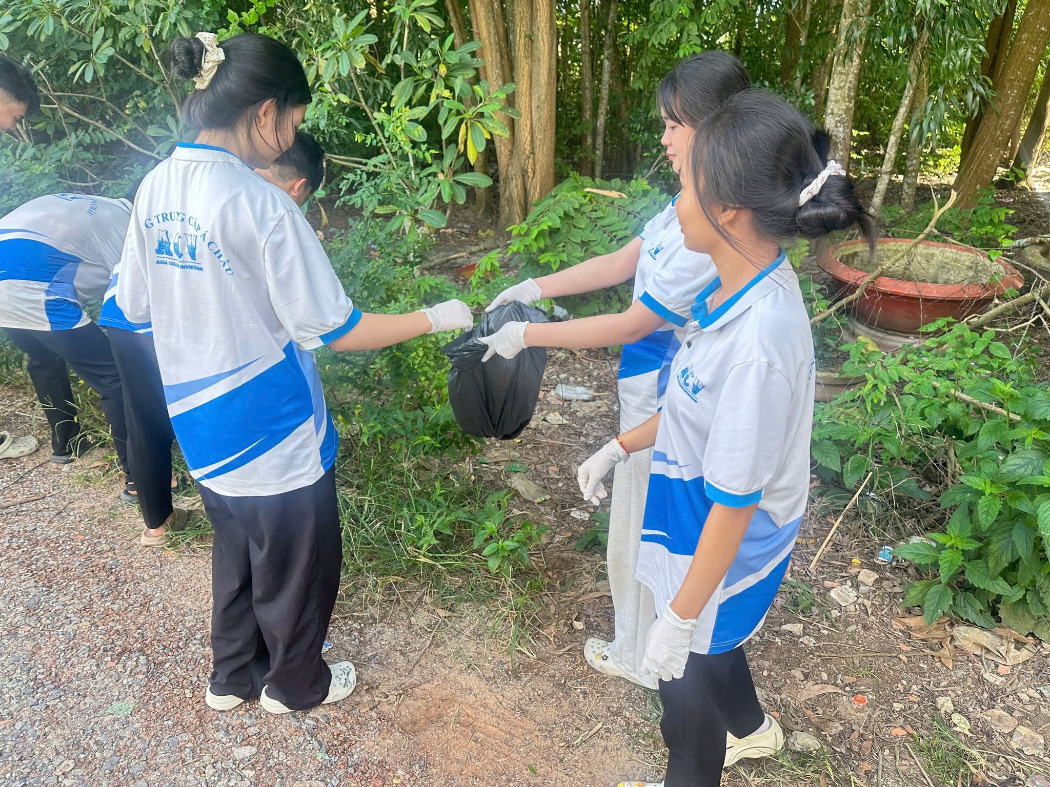 Hình ảnh 11