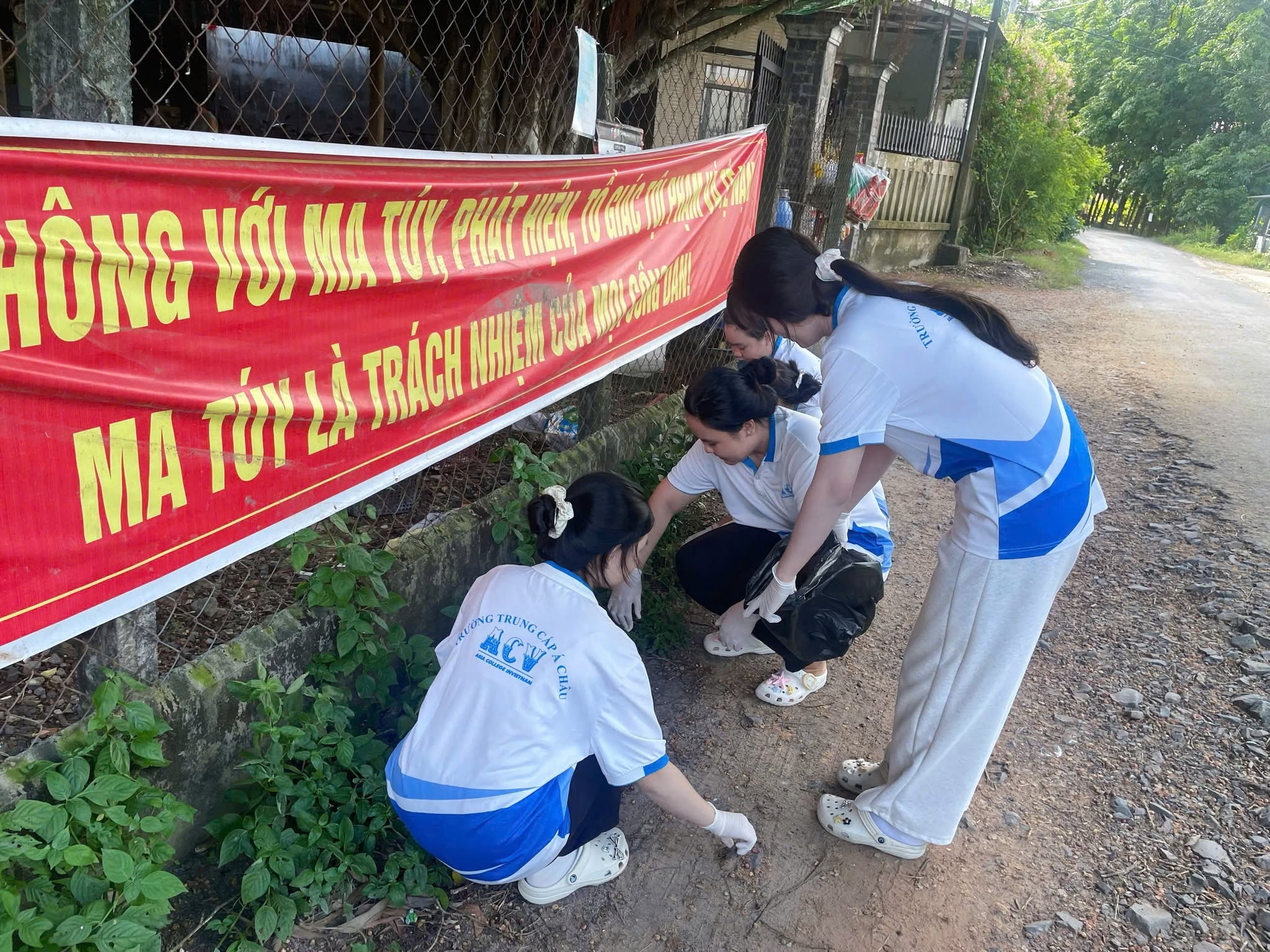 Hình ảnh 12