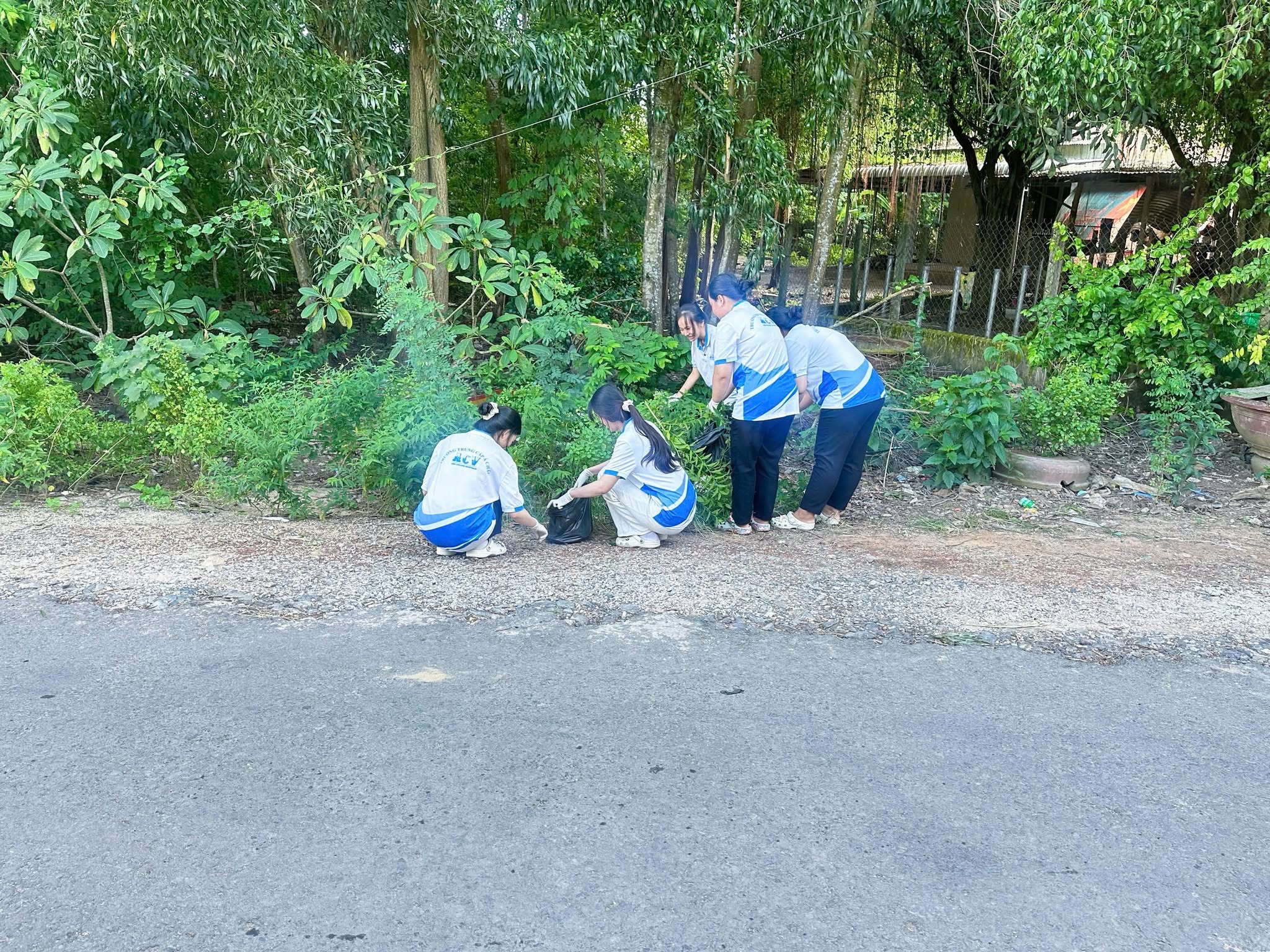 Hình ảnh 3